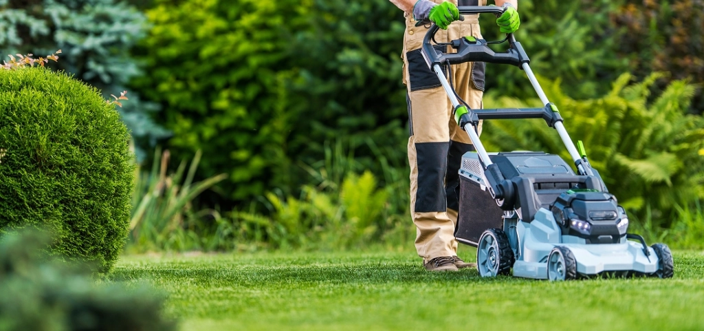 Entretien régulier de jardin
